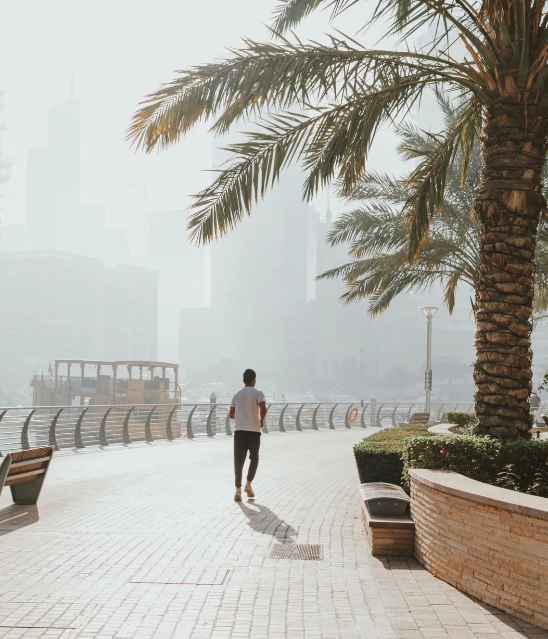 Promenade en bord de mer à Dubaï le matin, avec des palmiers : la vie quotidienne aux EAU avec un visa de résidence